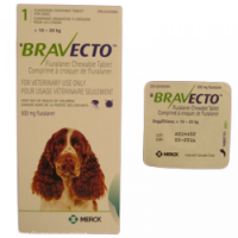 Bravecto Green 500mg (10kg-20kg) photo