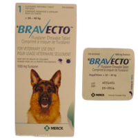 Bravecto Blue 1000mg (20kg-40kg)