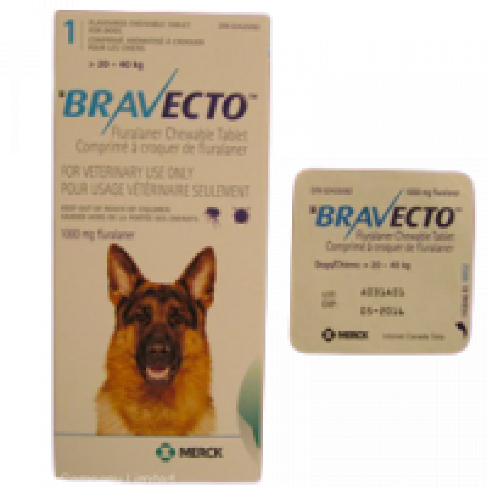 Bravecto Blue 1000mg (20kg-40kg) photo