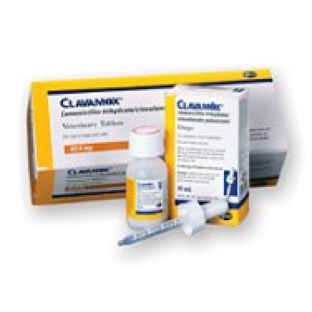 Clavamox 62.5mg The Pet Pharmacist