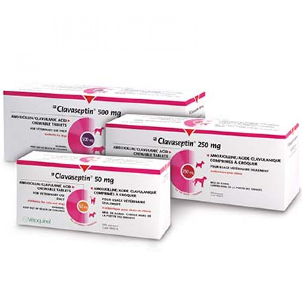 clavaseptin-500mg-the-pet-pharmacist