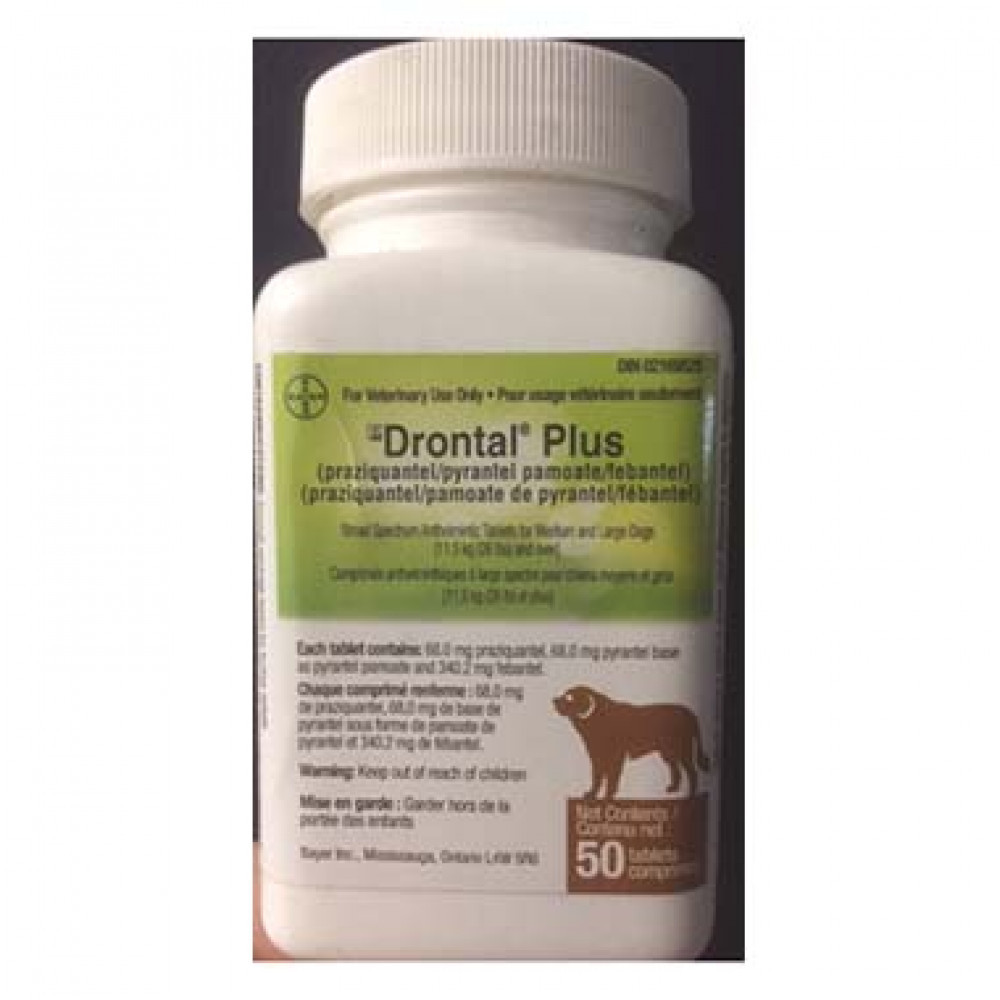 Drontal Plus 68mg | The Pet Pharmacist