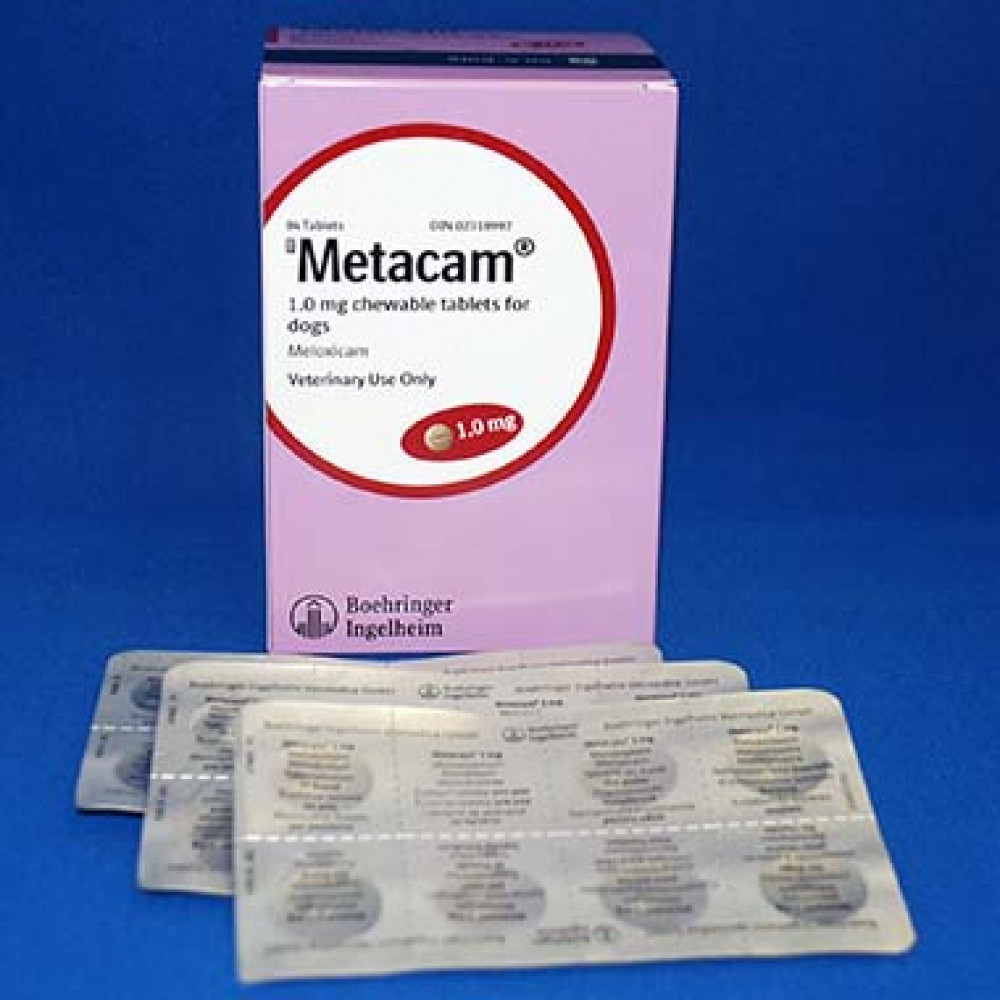 Metacam 1mg The Pet Pharmacist
