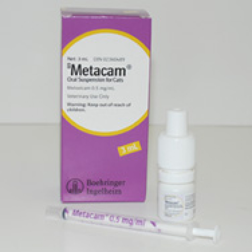 Metacam For Cats The Pet Pharmacist