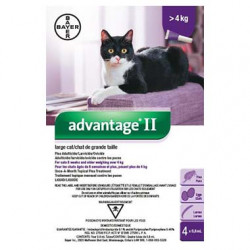 Advantage II large cat 4x0.8ml