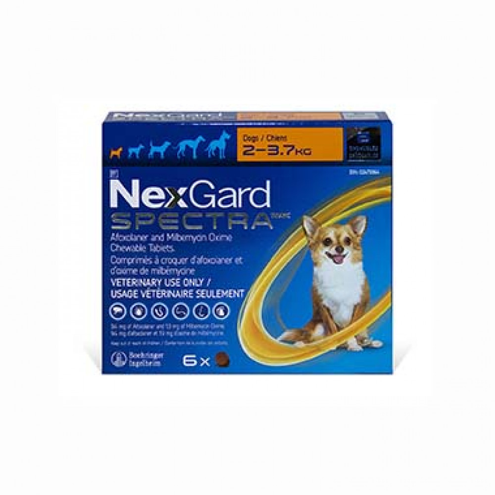 nexgard for cats canada