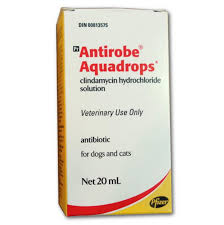 Antirobe 25mg/ml