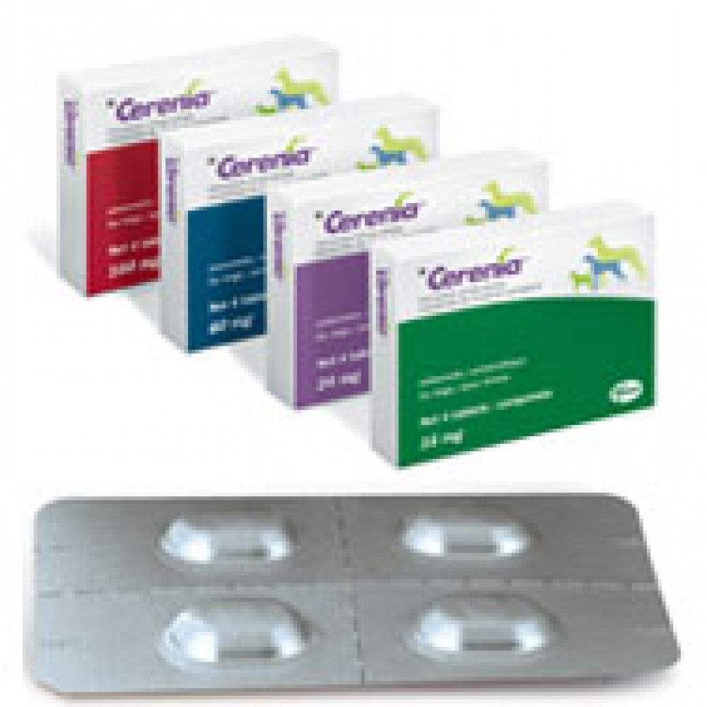 Cerenia Mauve 24mg photo