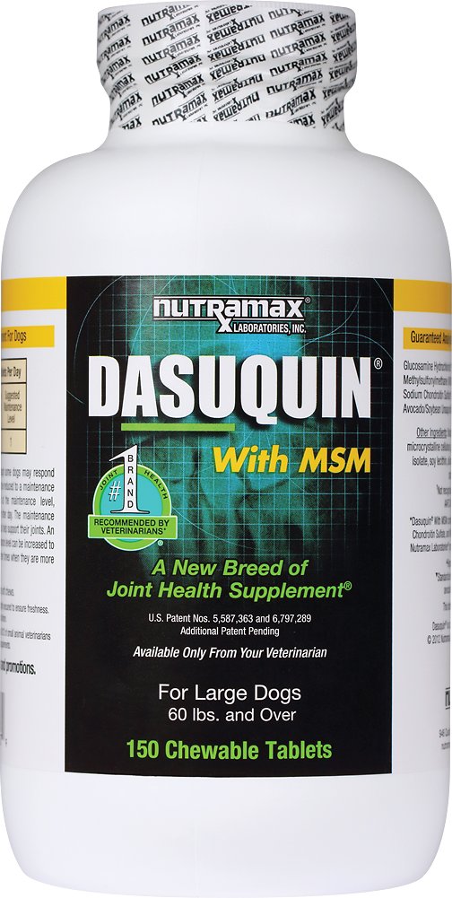 Dasuquin MSM (Canine - Large)