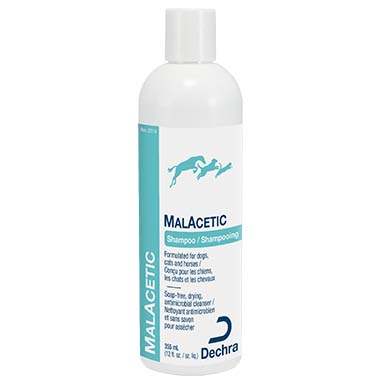 MalAcetic Shampoo 355ml
