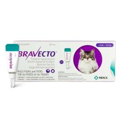Bravecto Topical 500mg (cat >6.2-12.5kg)