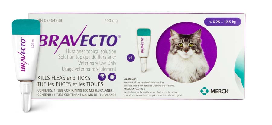 Bravecto Topical 500mg (cat >6.2-12.5kg)