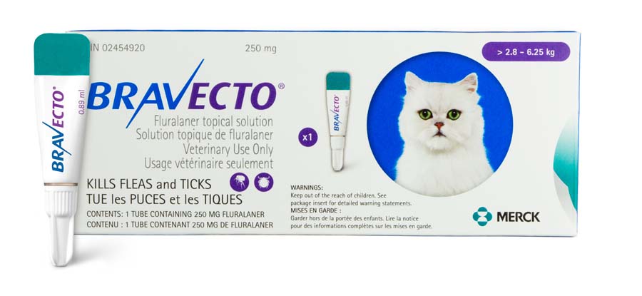 Bravecto Topical 250mg (Cat >2.8-6.25kg)