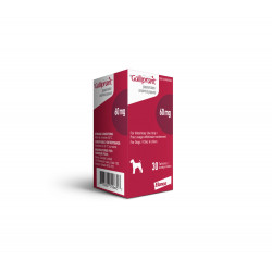Galliprant 60mg