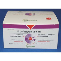 Cefaseptin 750mg