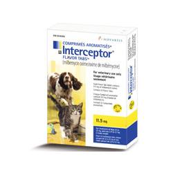 Interceptor Yellow 11.5mg