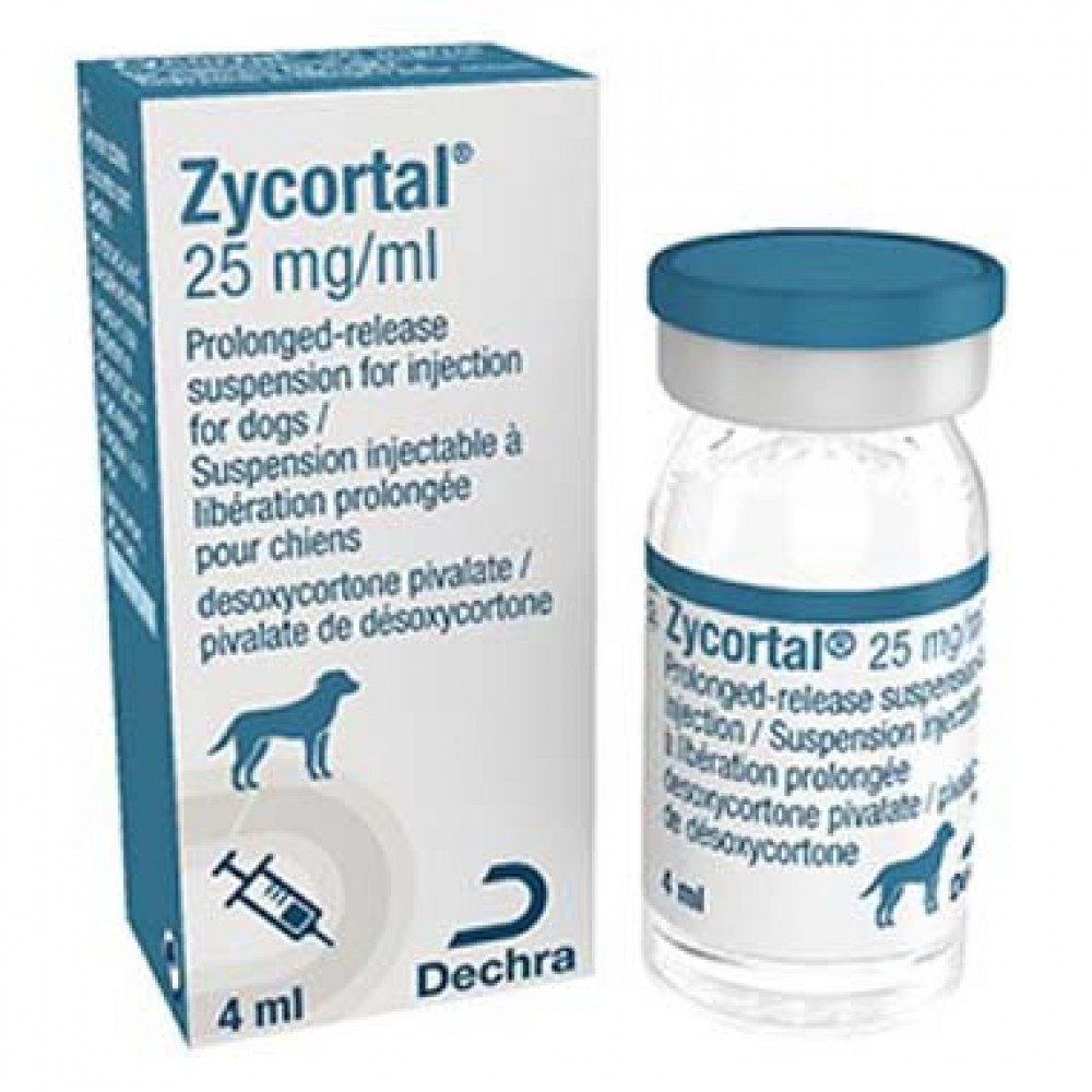 Zycortal Suspension photo