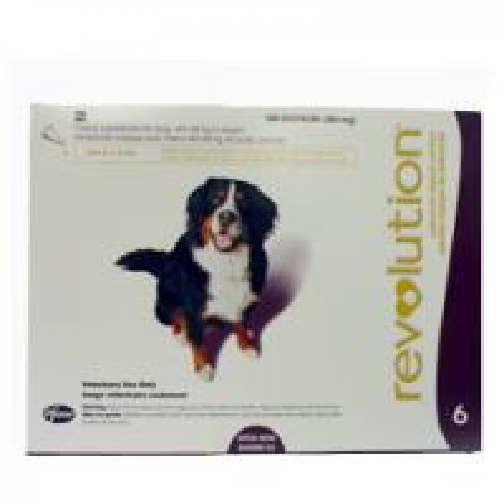 Revolution Plum 360mg photo
