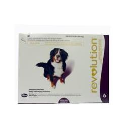 Revolution Plum 360mg