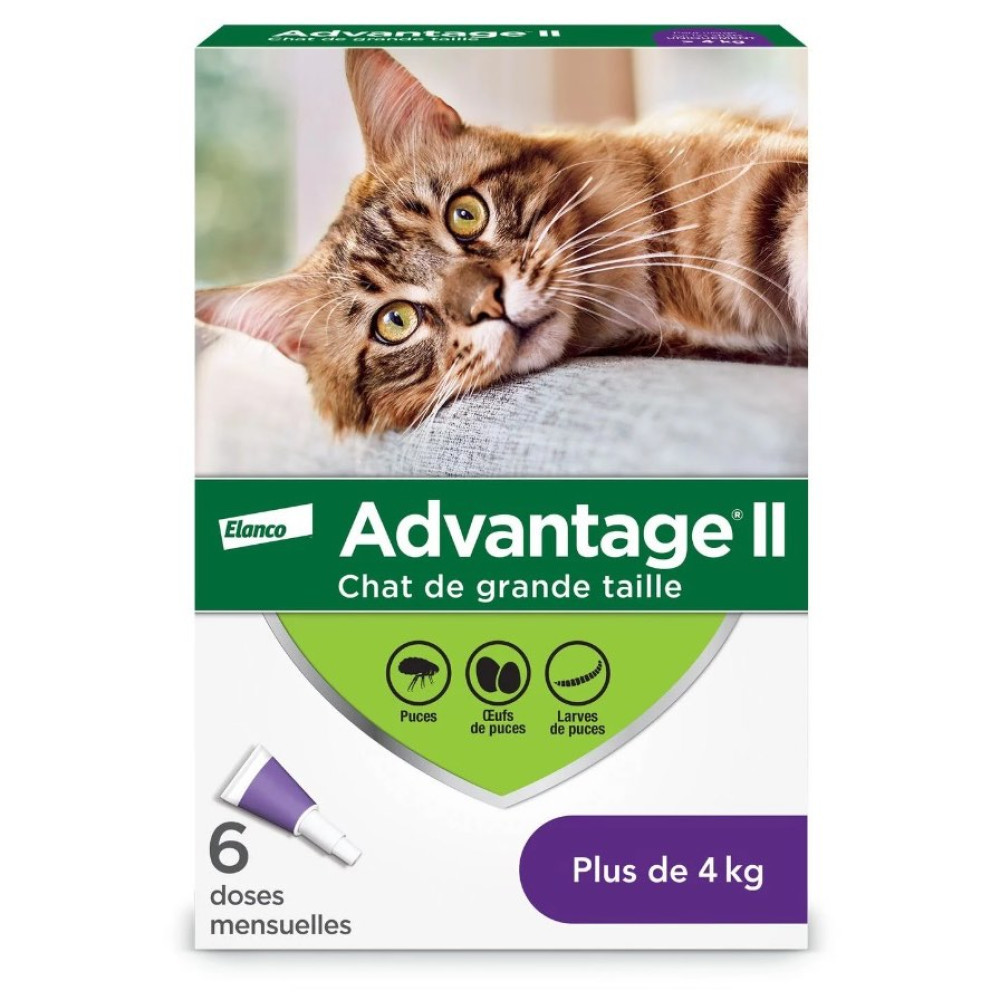 Advantage II large cat 6x0.8ml photo