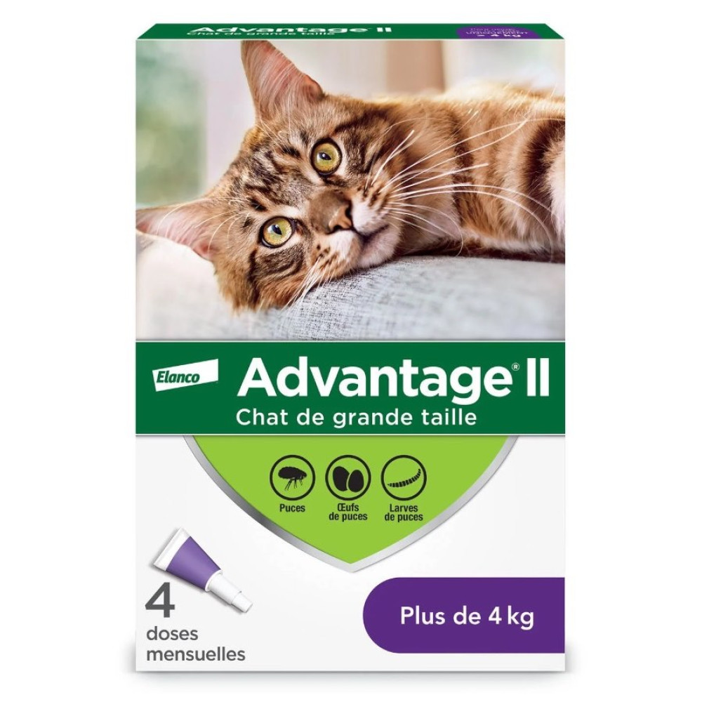 Advantage II large cat 4x0.8ml photo